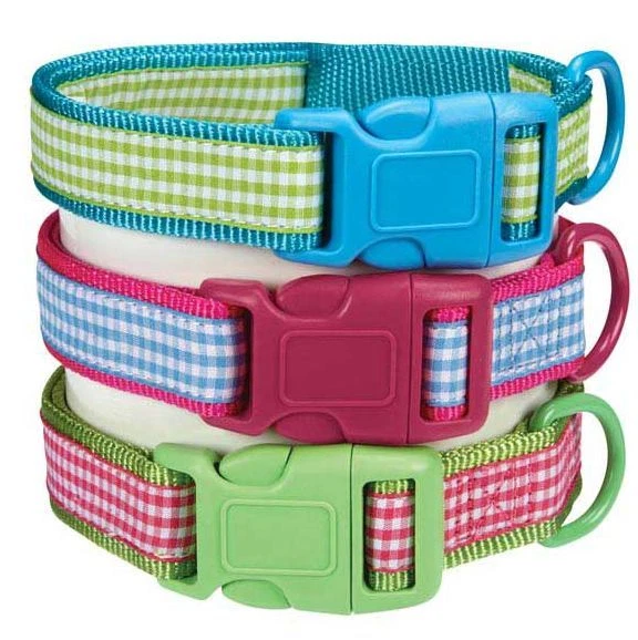 Collar para perro East Side Collection Gingham Sweeties collares para perro azul verde rosa Foto 1 de 1