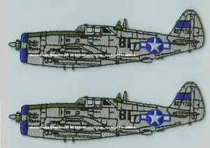 TRUE TO ORIGINAL WWII FLYING TIGERS AVG WARBIRD: Republic P-47 Thunderbolt "Jug" - Picture 1 of 12