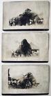 LOT of 3, ca. 1915 REAL PHOTO POSTCARD WITH TRAINER & CIRCUS ELEPHANT BREEDING