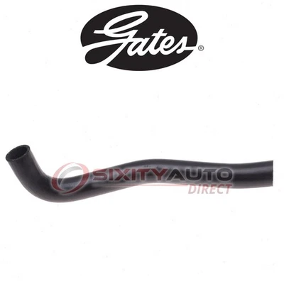 Gates Upper Radiator Coolant Hose for 2011-2017 Chrysler 300 3.6L V6 - rn - Imagem 1 de 4