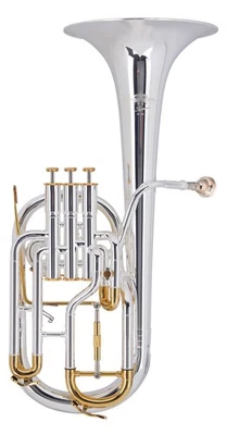 Eb Althorn Saxhorn Horn Messing Neusilber Blasinstrument Mundstück Gigbag Koffer - Bild 1 von 4