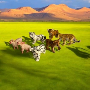 Vintage Lot Of 7 Safari Animals Cheetah Baby Tigers White Pigs Schleich RETIRED - Picture 1 of 9