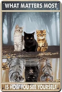 Black Cute Cat Metal Retro Tin Sign What Matters Most is How metal tin sign - Picture 1 of 7