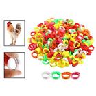 100Pcs Poultry Foot Bands Buckle Clip Ring with Sign Chicken Leg Rings for