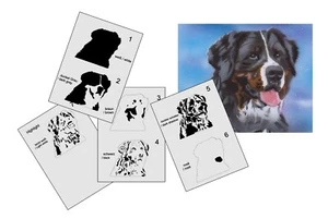 AS-341 Dog Bernese step by step stencil template acryl airbrush spray wall paint - Picture 1 of 5