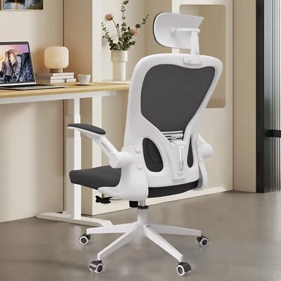 Silla de escritorio ergonómica de malla para el hogar con reposacabezas, soporte lumbar y reposabrazos abatible Foto 1 de 4