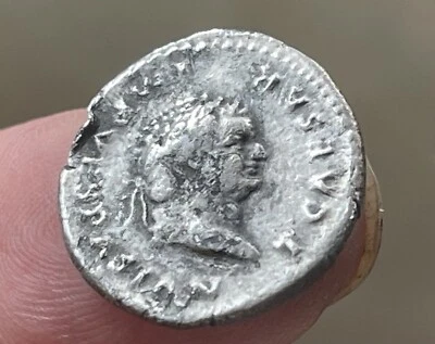 Vaca Titus Denarius Foto 1 de 4