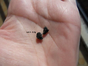 Meteorite chondrite carbonnée carbonaceous TARDA C2 ung 0.2 g - Imagen 1 de 2