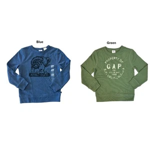 Gap Boy's Terry Lined Graphic Print Crewneck Pullover Sweatshirt - Picture 1 of 4