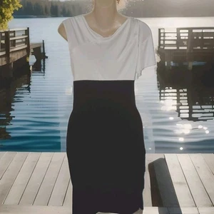 En Focus Womens Size 6 Black Off White Cocktail Formal Dressy Dress Party  - Picture 1 of 9