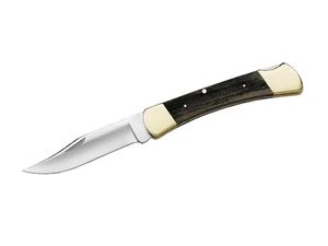 Buck FOLDING HUNTER 110 "THE FEDERAL" 50°ANNIV. 110EBS Limited Edition - Picture 1 of 1