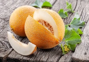 15 Samen Melone Ananas D `Amerique Obst Honig Melonen Melon Garten Frucht Gemüse - Bild 1 von 1