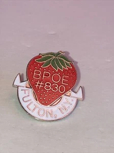 BPOE Fulton NY Elks Lodge #830 Pin. - Picture 1 of 5