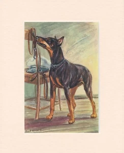 DOBERMAN ORIGINAL ALTER 50er JAHRE HUND KUNSTDRUCK FERTIG MONTIERT - Bild 1 von 1