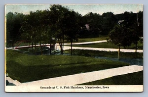 Postcard Vtg Iowa Grounds At United States Fish Hatchery Manchester - Picture 1 of 2