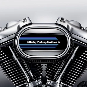 Filtro de aire retro azul Harley F*cking Davidson. Reemplaza Inserto Stock M8 - Imagen 1 de 6