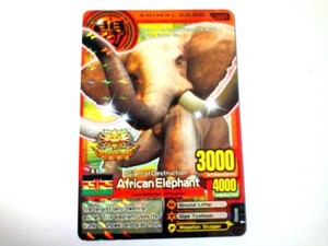 Animal Kaiser English Version Promo Card (A0031P: African Elephant)