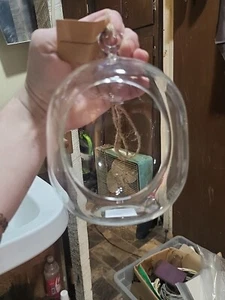 Syndicate Small Hand Blown Terrarium Globe - Picture 1 of 2