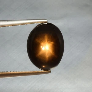 7.73 Cts 6 Rays Golden Star Sapphire Black 100% Natural Loose Gemstone Africa - Picture 1 of 3