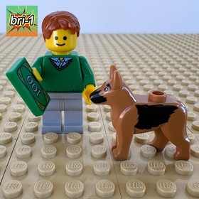 LEGO Creator, Pet Shop: Green Sweater Owner + Dog, MONEY, twn140, 10211, 2011