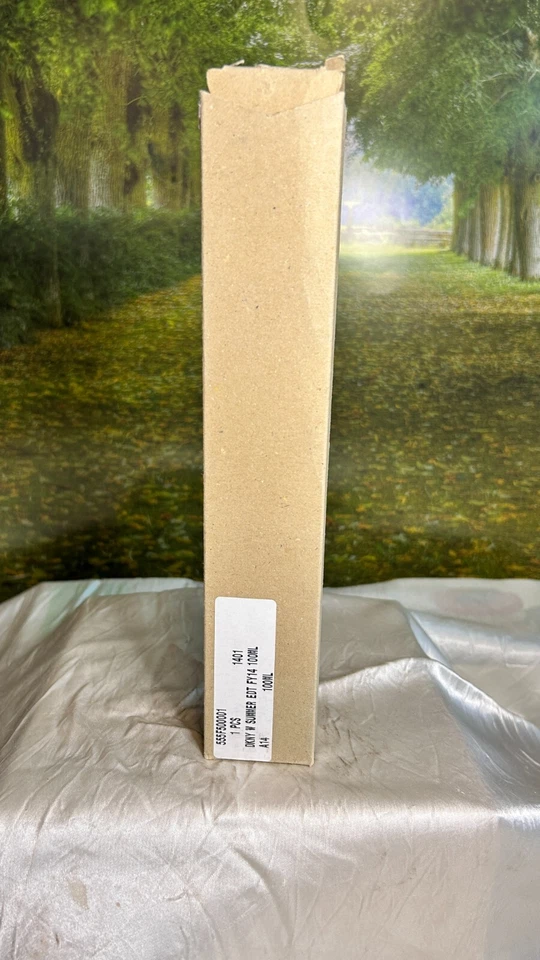 DONNA KARAN DKNY SUMMER EDT 100ML SPRAY - Image 1 of 3