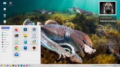 Linux Mint 22.1 Preloaded on 128GB NVMe M.2 SSD (Size 2230) #7 - Image 1 of 4