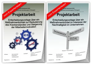 Projektarbeit Geprüfter Betriebswirt & Präsentation IHK Unternehmensführung - Bild 1 von 12