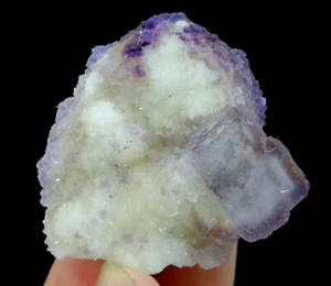 37 mm erstaunlich lila umrissen Fluorit von Qinglong Guizhou China B8332 - Bild 1 von 5