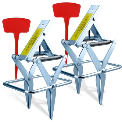 Paquete de 2 trampas para topos, trampa para tijera de acero galvanizado, trampa para topos reutilizable, fácil de usar... Foto 1 de 4