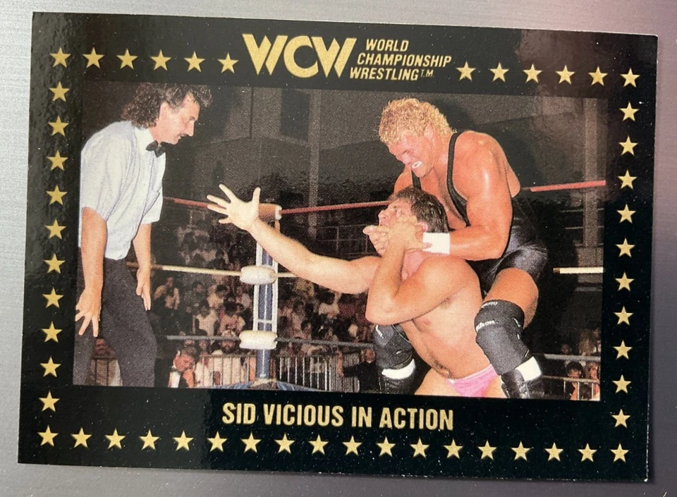 1991 Championship Marketing WCW #43 Sid Vicious NWA WWE WWF - Image 1 of 1
