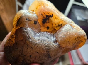 Large 1 LB 7.6 oz Montana Moss Agate Dendrites Rough Specimen Yellowstone River - Picture 1 of 6