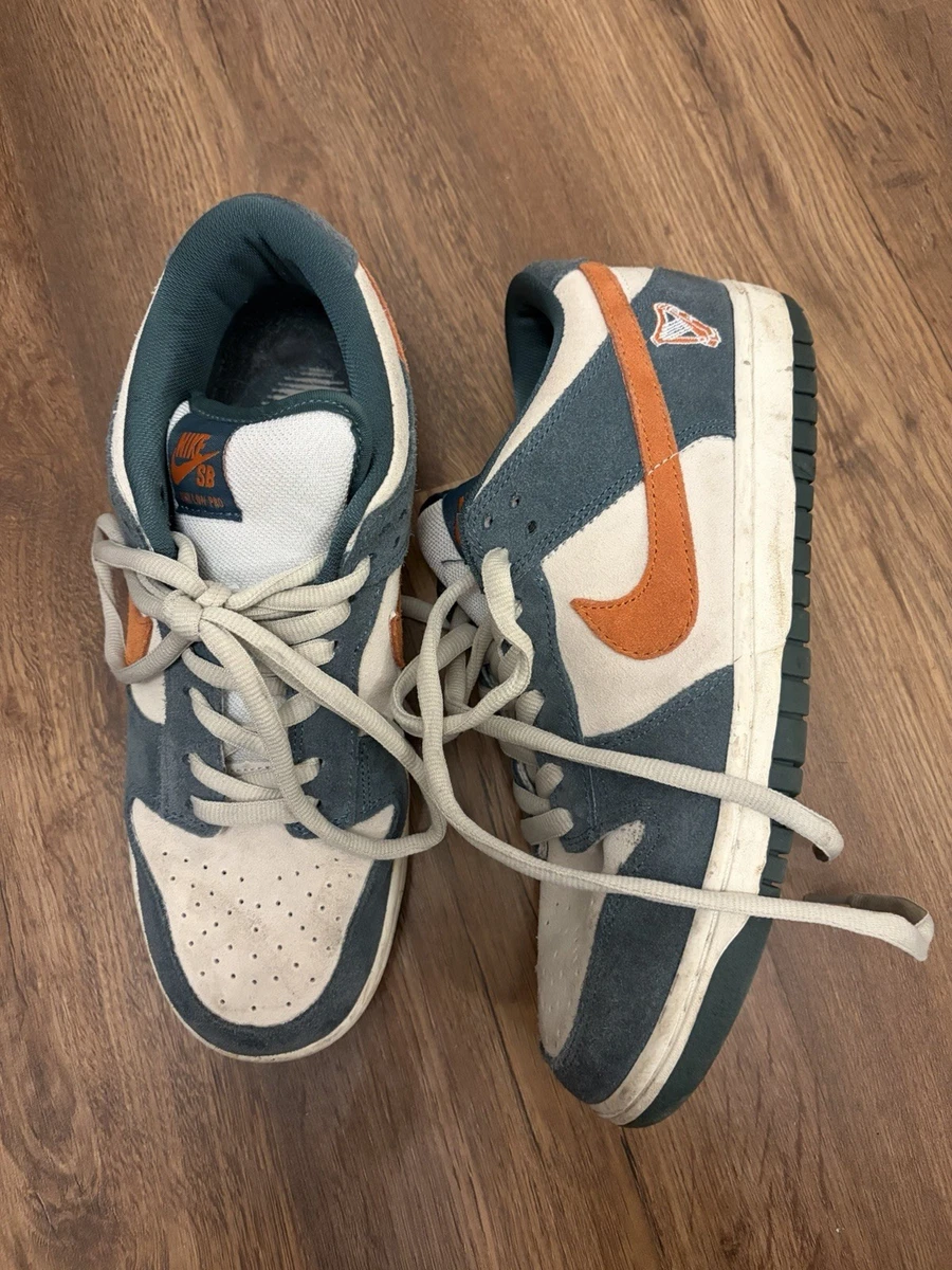 Nike Dunk Pro SB Low Eire for Sale | Authenticity Guaranteed | eBay UK