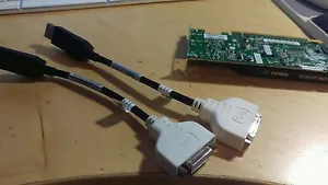 Dell NVIDIA Quadro NVS 295 256 MB GDDR3 SDRAM adapter with 2 cables - Picture 1 of 4