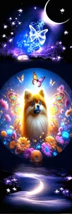 POMERANIAN DOG, BUTTERFLIES -CAT,FLOWERS, BIRDS,DOGS,PIXIES-BOOKMARK &TASSEL - Picture 1 of 1