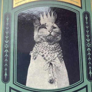 Ye Olde Cat Memes: Das ursprüngliche Buch des Katzenhumors von Eulalie Osgood Grover... - Bild 1 von 7