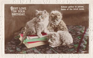 animals comic cat kittens pets old postcard animal greetings - Foto 1 di 1