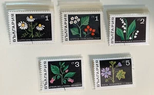 Bulgaria Medicinal Flowers Stamp Lot of 5 With Mount Sleeves - Picture 1 of 2