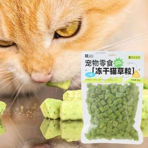 60g Cat Grass Snack For Indoor Cats Grass Chew Teeth Hairball Cleaner Y3Z7 G3P4 - Picture 1 of 15