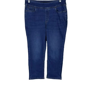 Denim & Co. Regular Cozy Touch Denim Full-Length Straight Jean Medium Size 24W - Picture 1 of 2