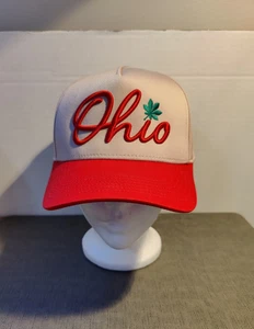 State Of Ohio Baseball Style Hat Penguin Classic Snapback Never Worn - Picture 1 of 8