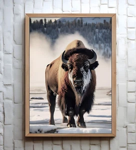 Poster arte fotografica Yellowstone Buffalo American Bisonte stampa arte da parete - Foto 1 di 4
