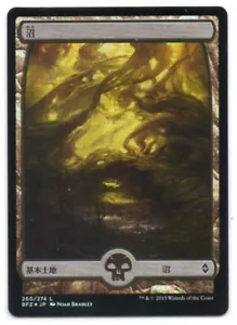 MTG Japanese Foil Swamp Full Art #260 Battle For Zendikar SP - Picture 1 of 1
