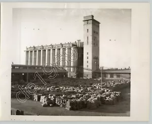 Moderno silo de grano en Tabriz, Irán 1947 granero agrícola modernista foto de prensa - Imagen 1 de 2