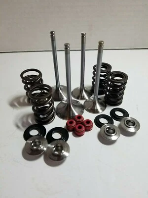 Suzuki DRZ400 Kibblewhite Titanium Spring Kit White Diamond Valves STD Seals - Image 1 of 3
