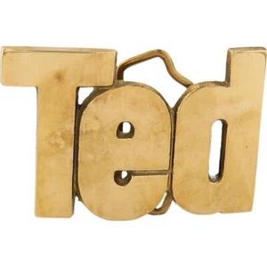 New Brass Ted Theodore Teddy Name Tag Hippy Hippie 1970s NOS Vintage Belt Buckle - Picture 1 of 6