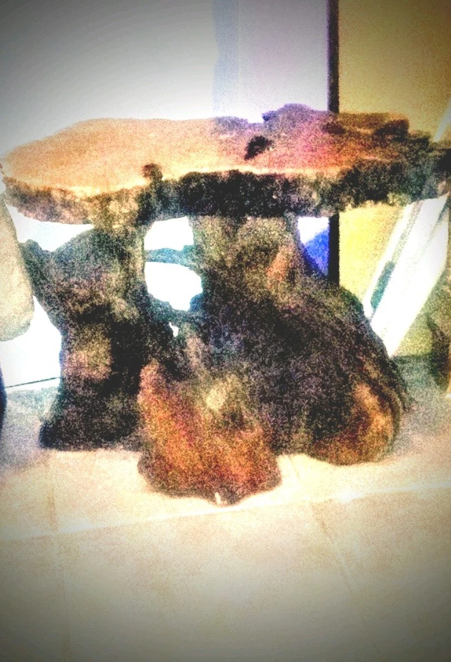 Vintage Live Burl Wood Coffee Table - Image 1 of 1
