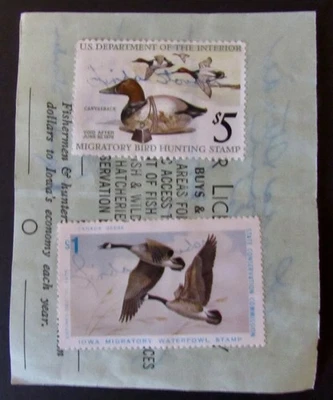 RW42 - 1975 Federal Duck Stamp on Iowa Hunting License with Iowa #4 - Image 1 of 2