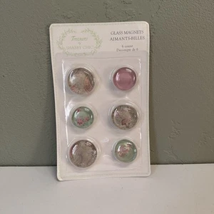 Treasures By Shabby Chic ~ Set of 6 Glass Magnets ~ Cottage Roses Floral Sweet~ - Picture 1 of 6
