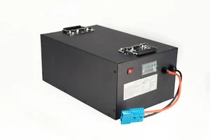 LiFePO4 Akku 48V 50Ah 60A Lithium Eisenphosphat Batterie Scooter Camping Boot - Afbeelding 1 van 6