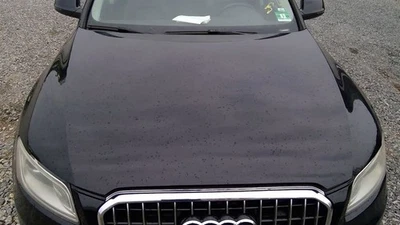 Hood VIN Fp 7th And 8th Digit Fits 13-17 AUDI Q5 1550601 - Imagem 1 de 4